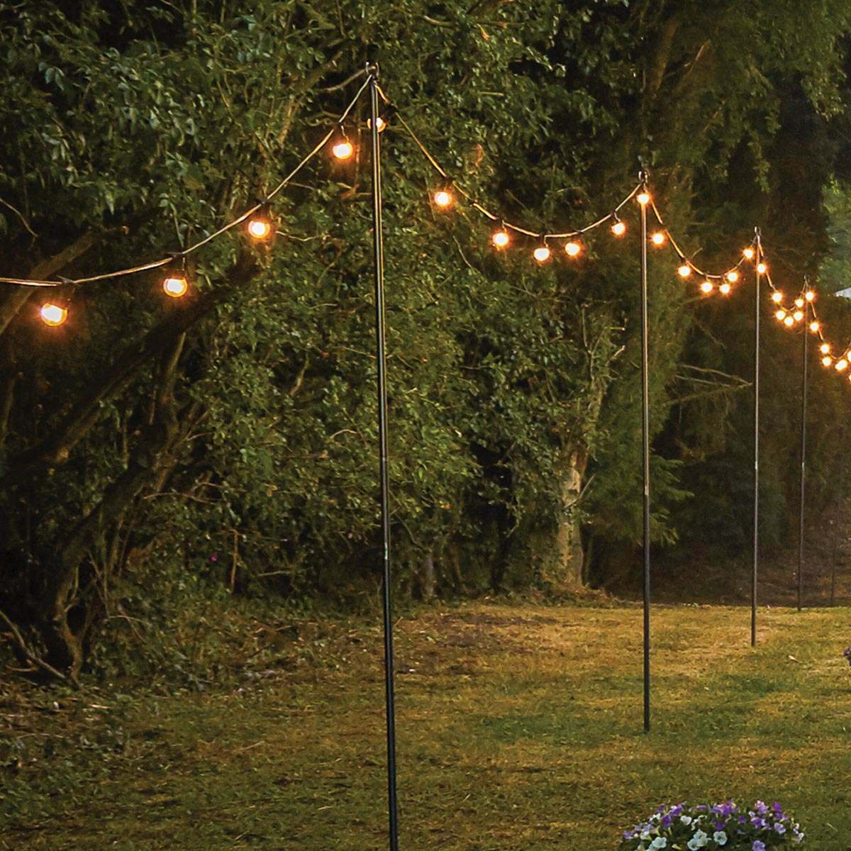 String Light Poles with string lights hanging between them over a grassy area bordered by dense trees, flowers in the corner